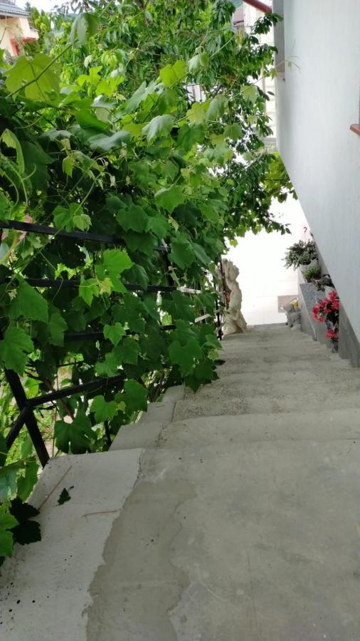 Appartamento Casa Irimescu Gura Humorului Esterno foto
